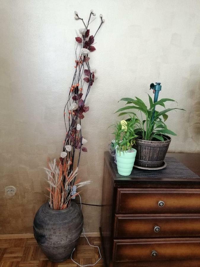 באניה לוקה Apartman Maja מראה חיצוני תמונה